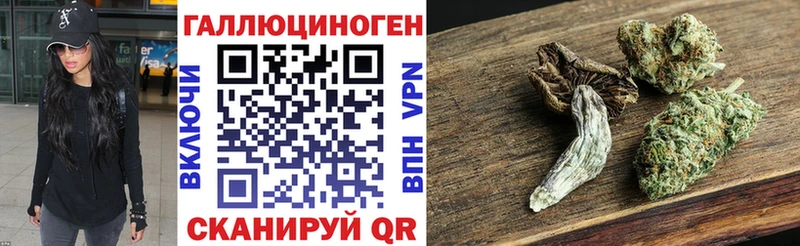 мега ТОР  Поронайск  Псилоцибиновые грибы мицелий 